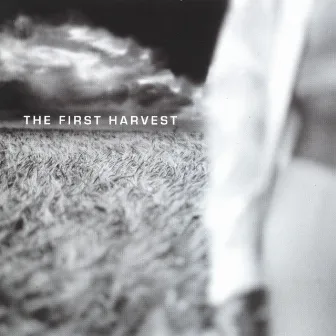 The First Harvest by Iain MacDonald