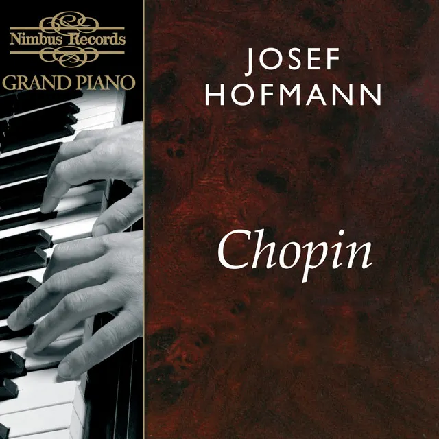 Sonata No. 2 in B-Flat Minor, Op. 35: I. Doppio movimento