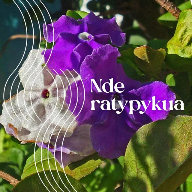 Nde Ratypykua