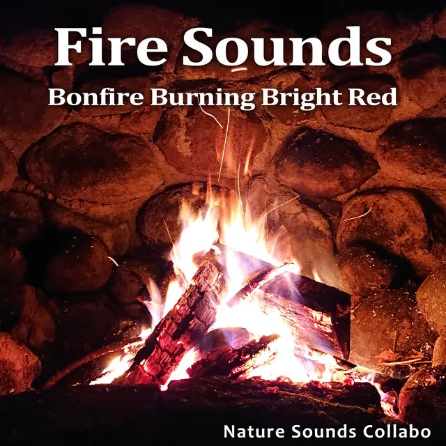 Fire Sounds -Bonfire Burning Bright Red-