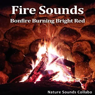 Fire Sounds -Bonfire Burning Bright Red- by Nature Sounds Collabo