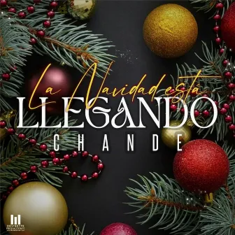 La Navidad Está Llegando by Chandé