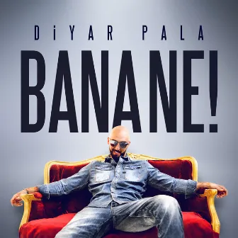 Bana Ne by Diyar Pala