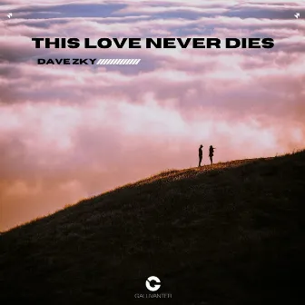 This Love Never Dies by Dave Zky