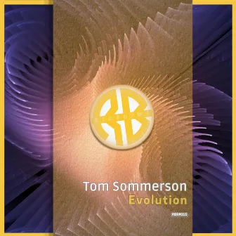 Evolution by Tom Sommerson