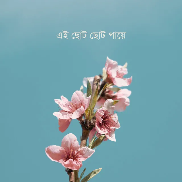 এই ছোট ছোট পায়ে