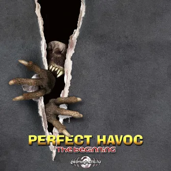 The Beginning by Perfect Havoc