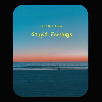 stupid feelings by Certified Alien