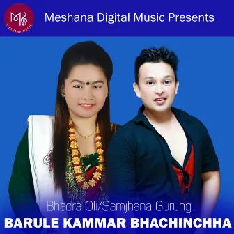 Barule Kammar Bhachinchha by Bhadra Oli