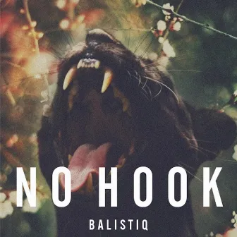 No Hook (feat. Kano) by Balistiq