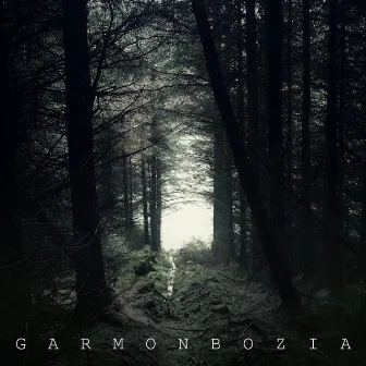 Garmonbozia by Machinista