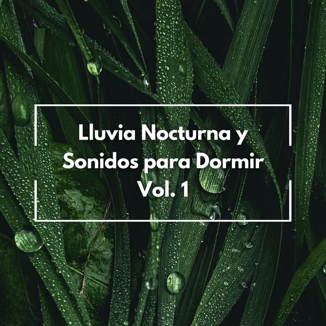 Lluvia Nocturna Y Sonidos Para Dormir Vol. 1