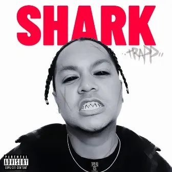 Shark by Trapp