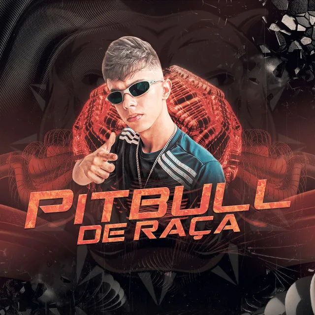 Pitbull de Raça