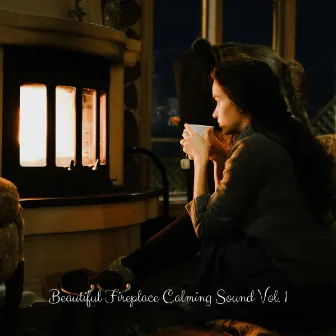 Beautiful Fireplace Calming Sound Vol. 1 by Stormy Station