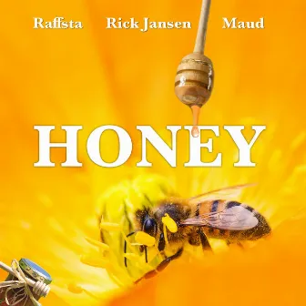 Honey (Radio Edit) by Rick Jansen