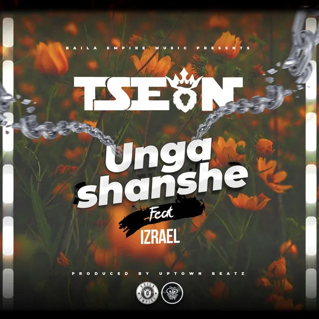 Ungashanshe