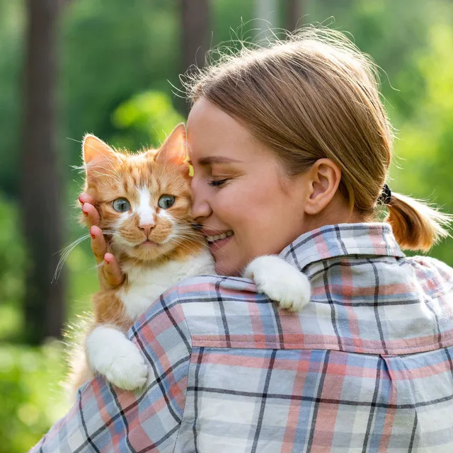 Rainy Pet Purrfect Calm