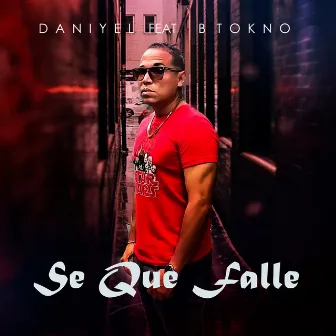 Se Que Falle by Daniyel