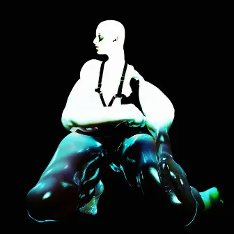 Thievery by Arca