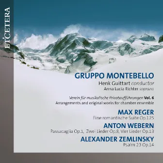 Verein für musikalische Privataufführungen, Vol. 6 by Gruppo Montebello