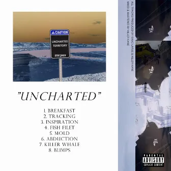 Uncharted by Unknown Artist