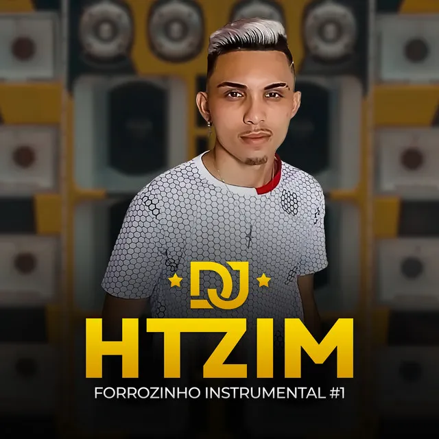 Forrozinho Instrumental #1