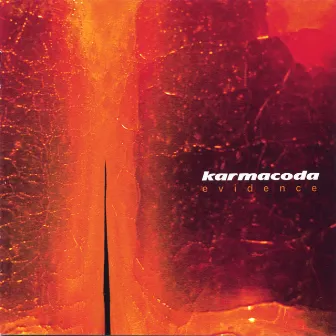 Evidence by Karmacoda