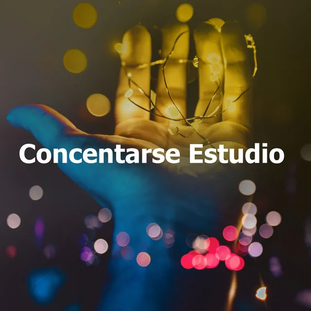 Concentarse Estudio