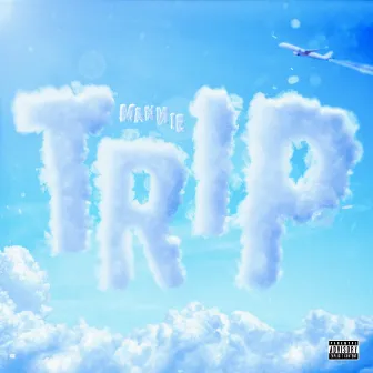 Trip by Mannie