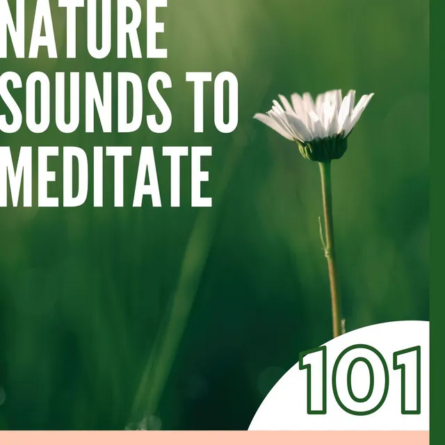 101 Nature Sounds to Meditate: Help Sleep & Soothe Your Mind, Body and Soul