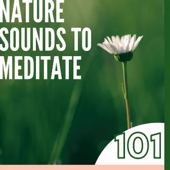 101 Nature Sounds to Meditate: Help Sleep & Soothe Your Mind, Body and Soul by Unknown Artist