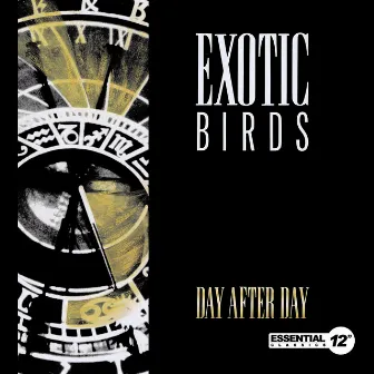 Day After Day by Exotic Birds