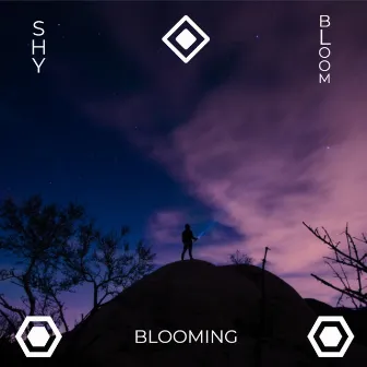 Blooming by Unknown Artist