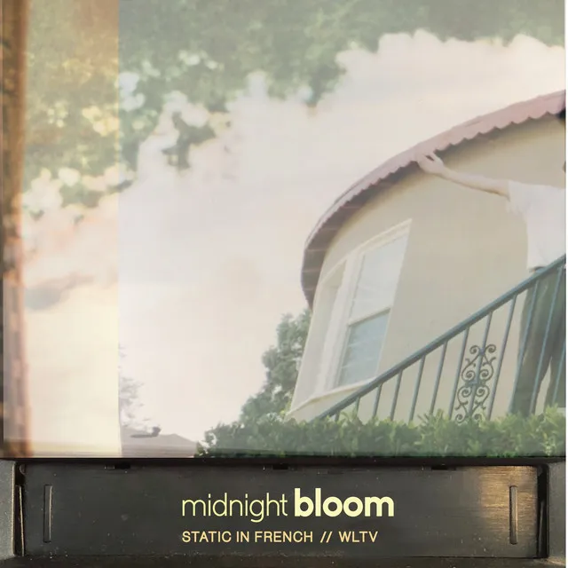 midnight bloom