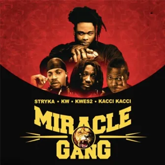 Miracle Gang by Stryka