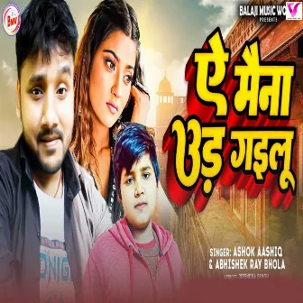 Ye Maina Ud Gailu by Ashok Ashik