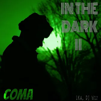 In the Dark II by COMA