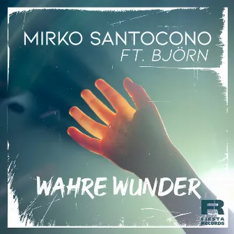 Wahre Wunder by Mirko Santocono