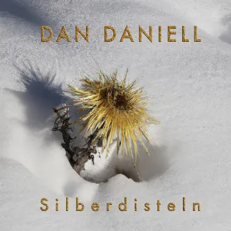 Silberdisteln by Dan Daniell