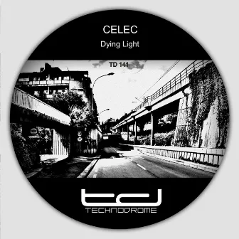 Dying Light by Celec