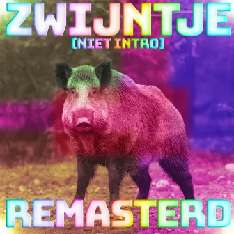 Zwijntje (niet intro) [2023 Remastered Version] by Bregerinus