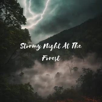 Stormy Night At The Forest by Forest Rain