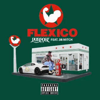 Flexico by Purpose