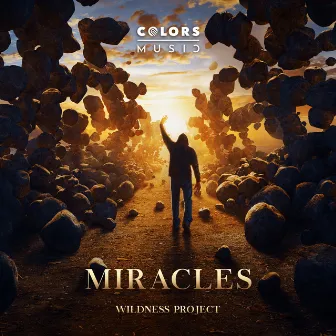 Miracles by Wildness Project