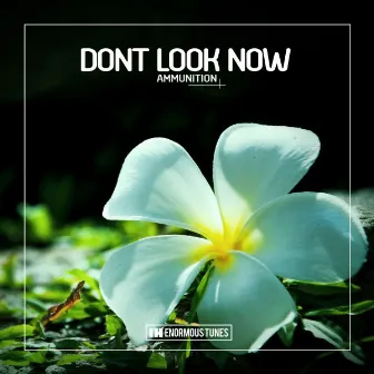 Ammunition by Dont Look Now