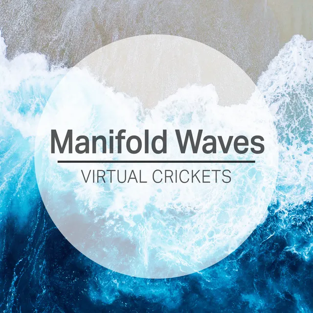 Manifold Waves