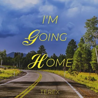 I'm Going Home by Terex