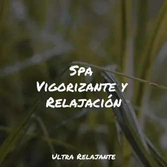 Spa Vigorizante y Relajación by Massagem Música