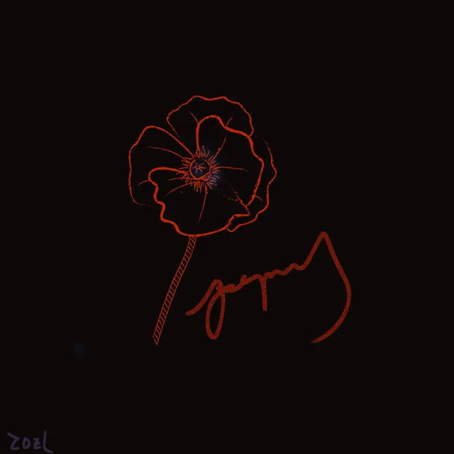 罂粟Poppy